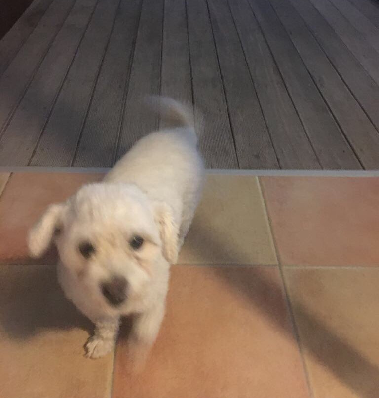 Durazzo Resort & Spa主图