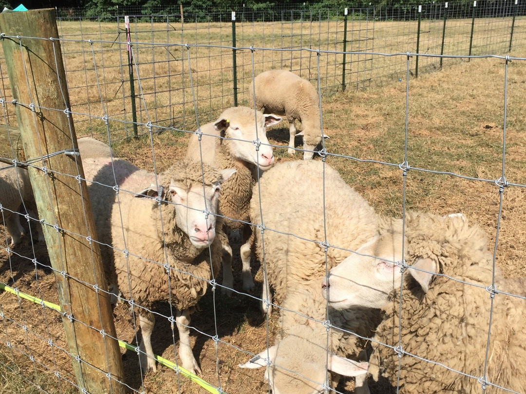 Perkins Stone Mansion & John Brown House-阿克伦必去景点