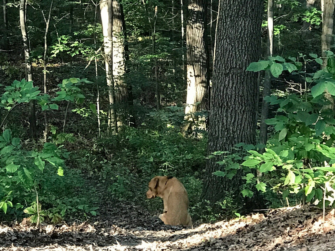 Holly Recreation Area-Holly必去景点