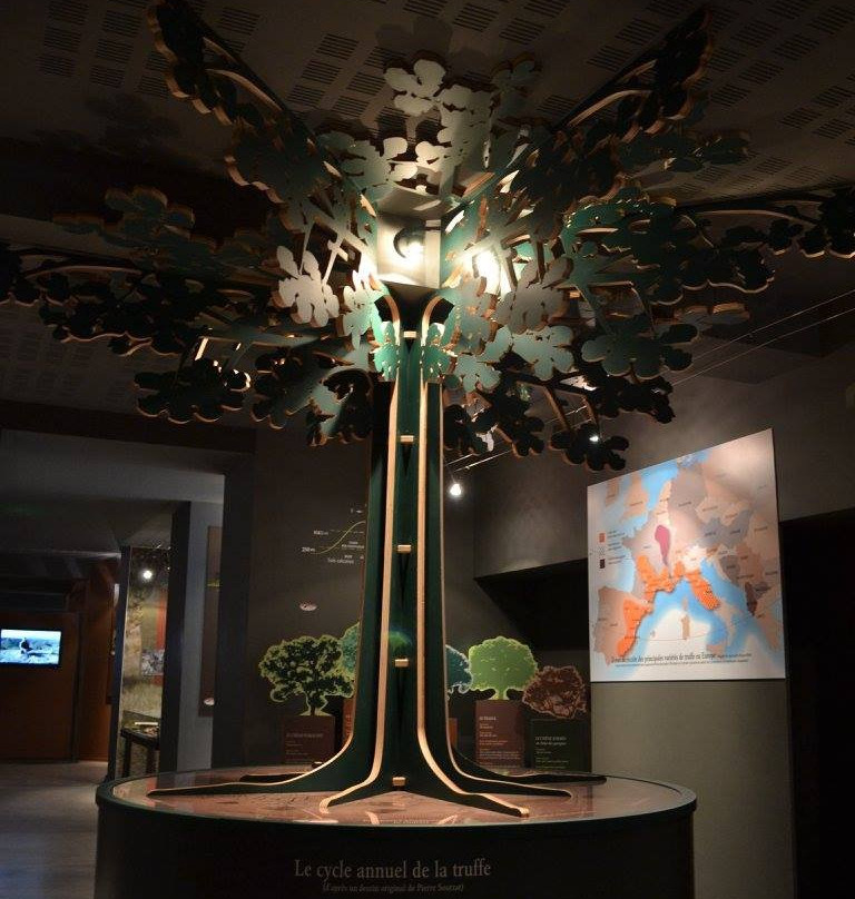 Maison de la Truffe d'Occitanie景点图片