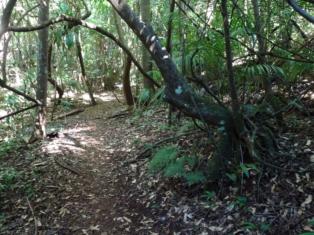 Ravensbourne National Park-Ravensbourne必去景点