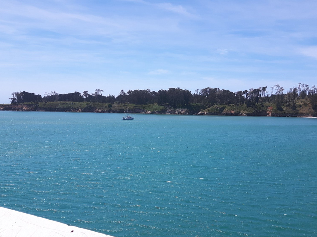 San Simeon Pier景点图片
