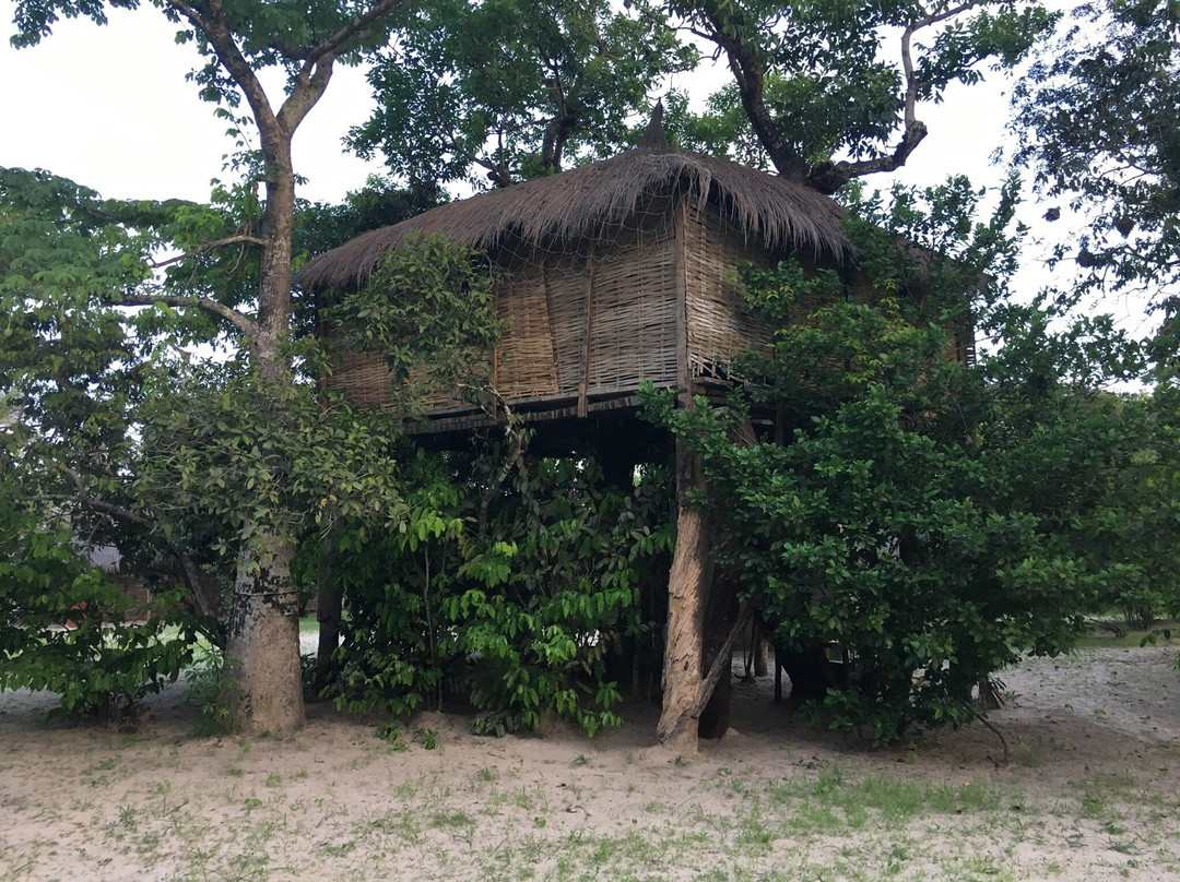 Campement de l'Ile d'Effrane主图