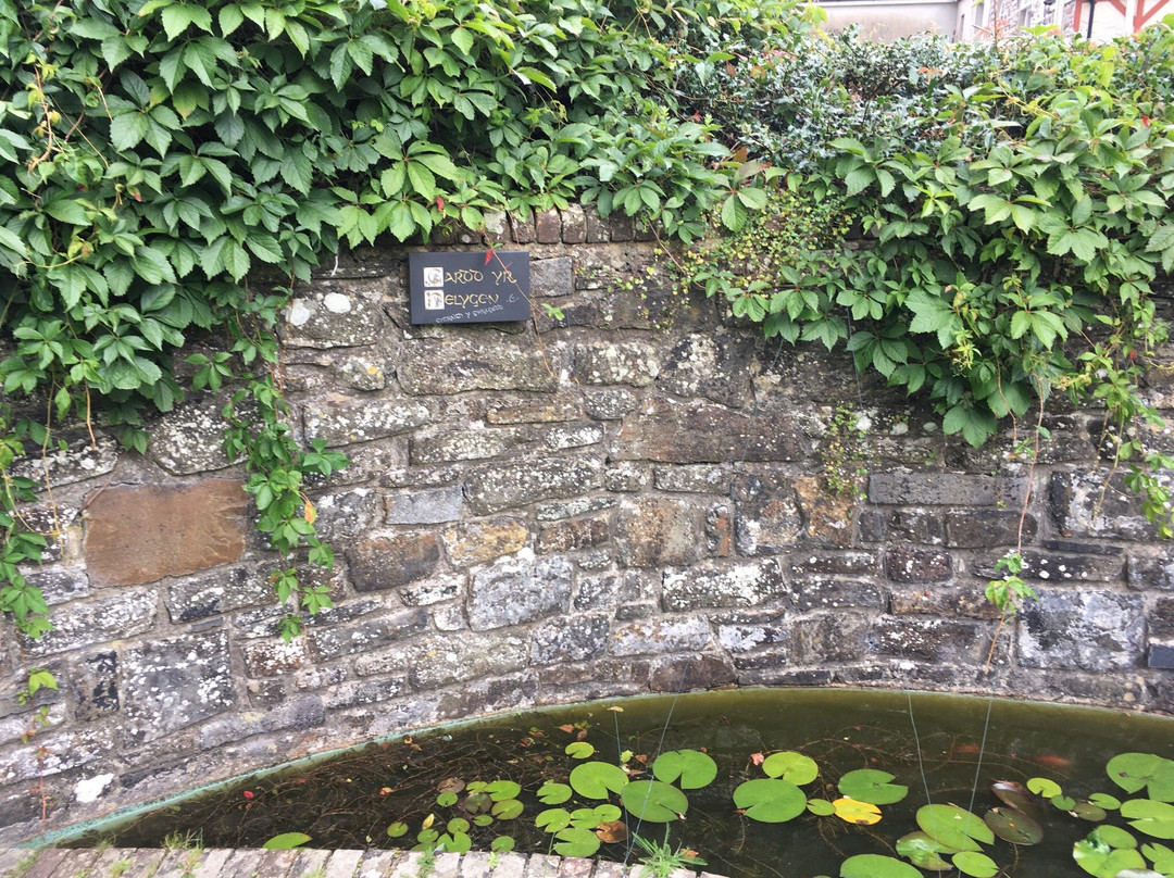 Hywel Dda Centre景点图片