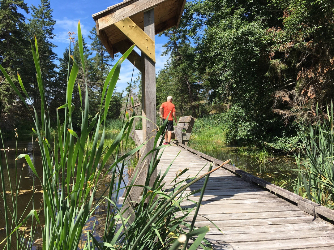 Iris Griffith Wetlands-马德拉公园镇必去景点