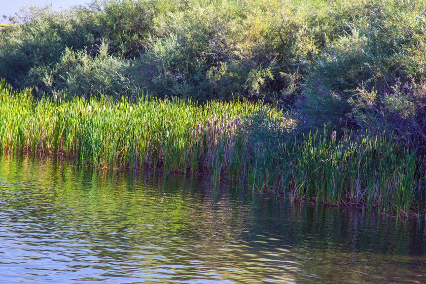 Ancient Lakes Trail-Quincy必去景点