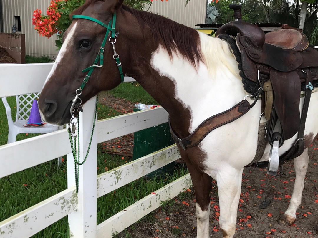 American Horse Trails-戴维必去景点