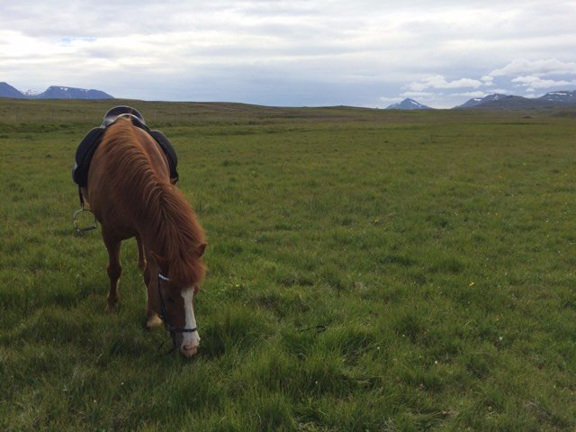 Sydra Skordugil-Varmahlid必去景点