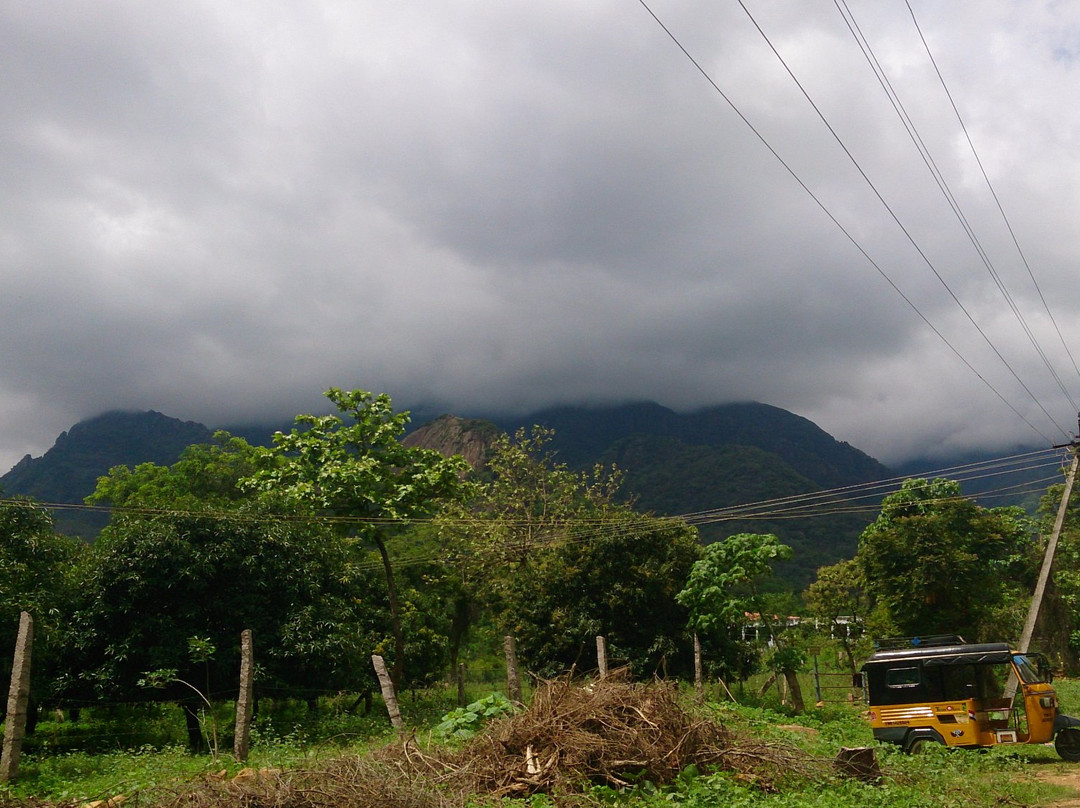 Ayyanar Falls-Rajapalayam必去景点