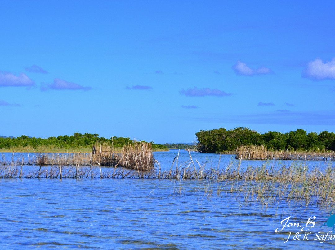 J and K Safaris-圣露西亚必去景点