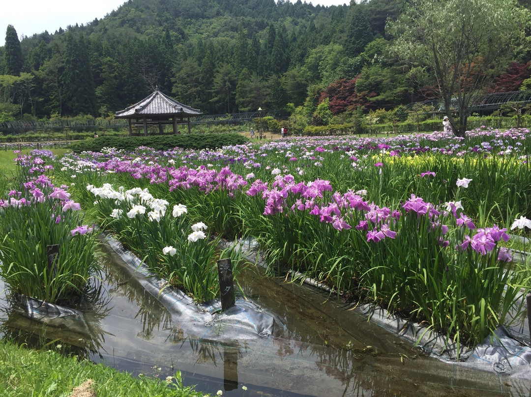 三田市旅游攻略图片