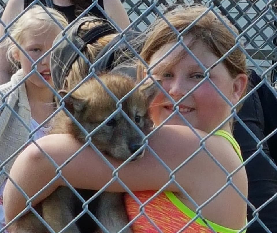 Border City Petting Zoo-劳埃德明斯特必去景点