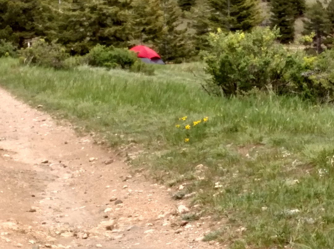 Roosevelt National Forest-Rollinsville必去景点