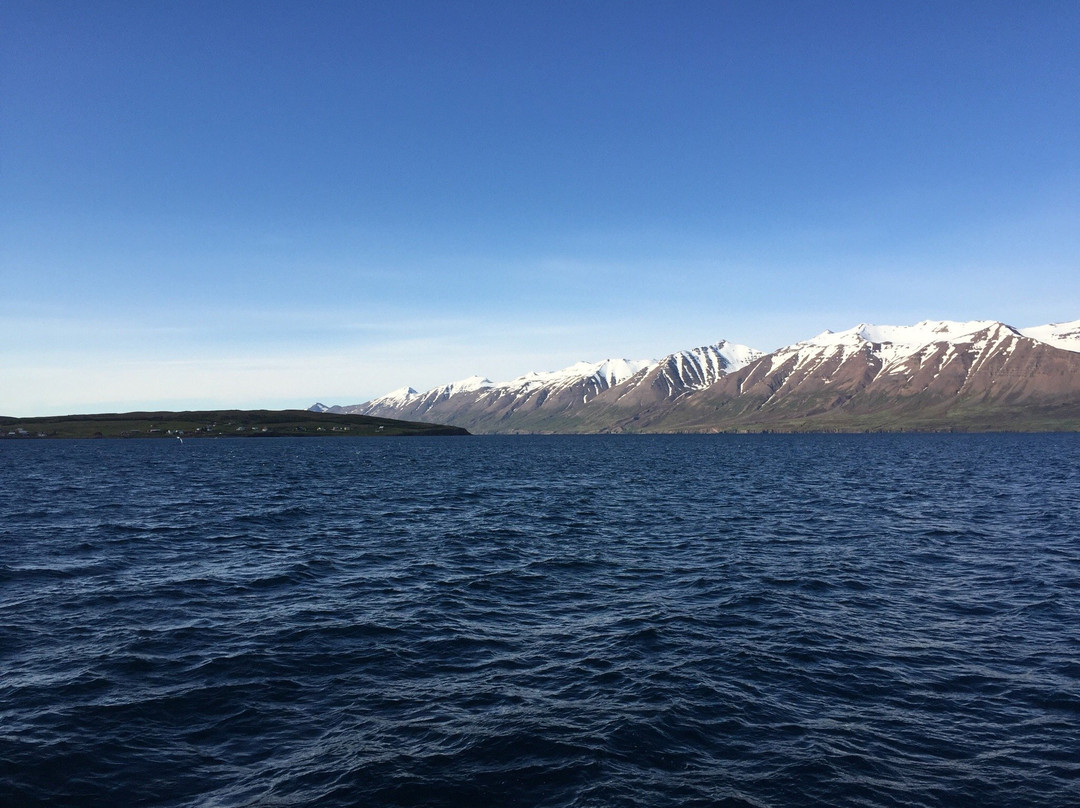 Hrisey Ferry-Hrisey Island必去景点