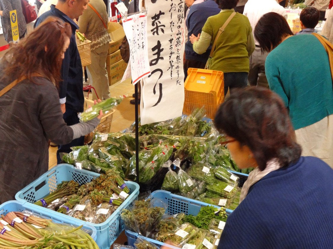 Michi-no-Eki Takano-庄原市必去景点