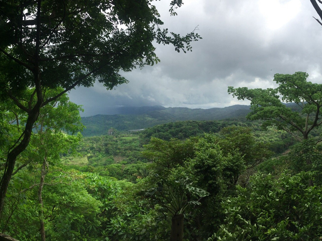 Altos De Campana National Park景点图片