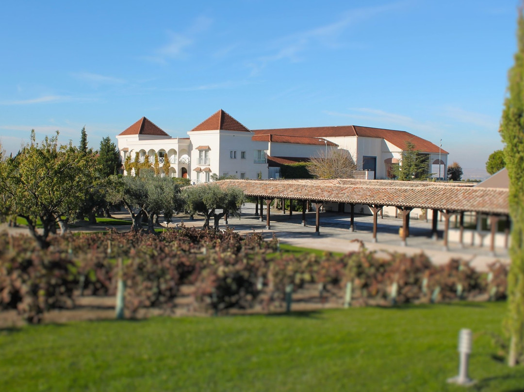 Bodegas y Vinedos Casa del Valle-Yepes必去景点