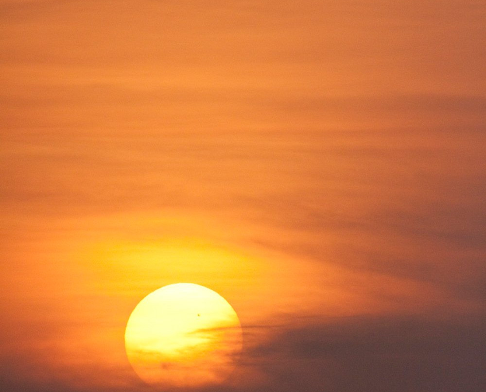 Square Gallery-Goliad必去景点