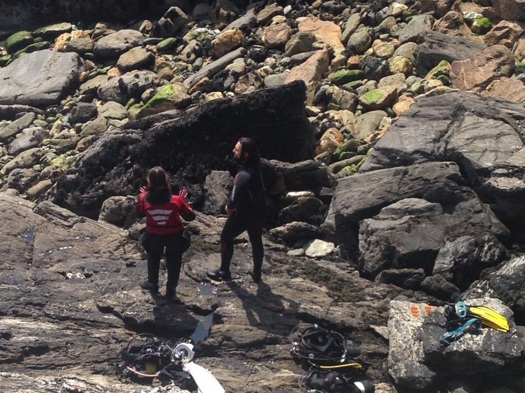 Wavecrest Scuba-纽奎必去景点