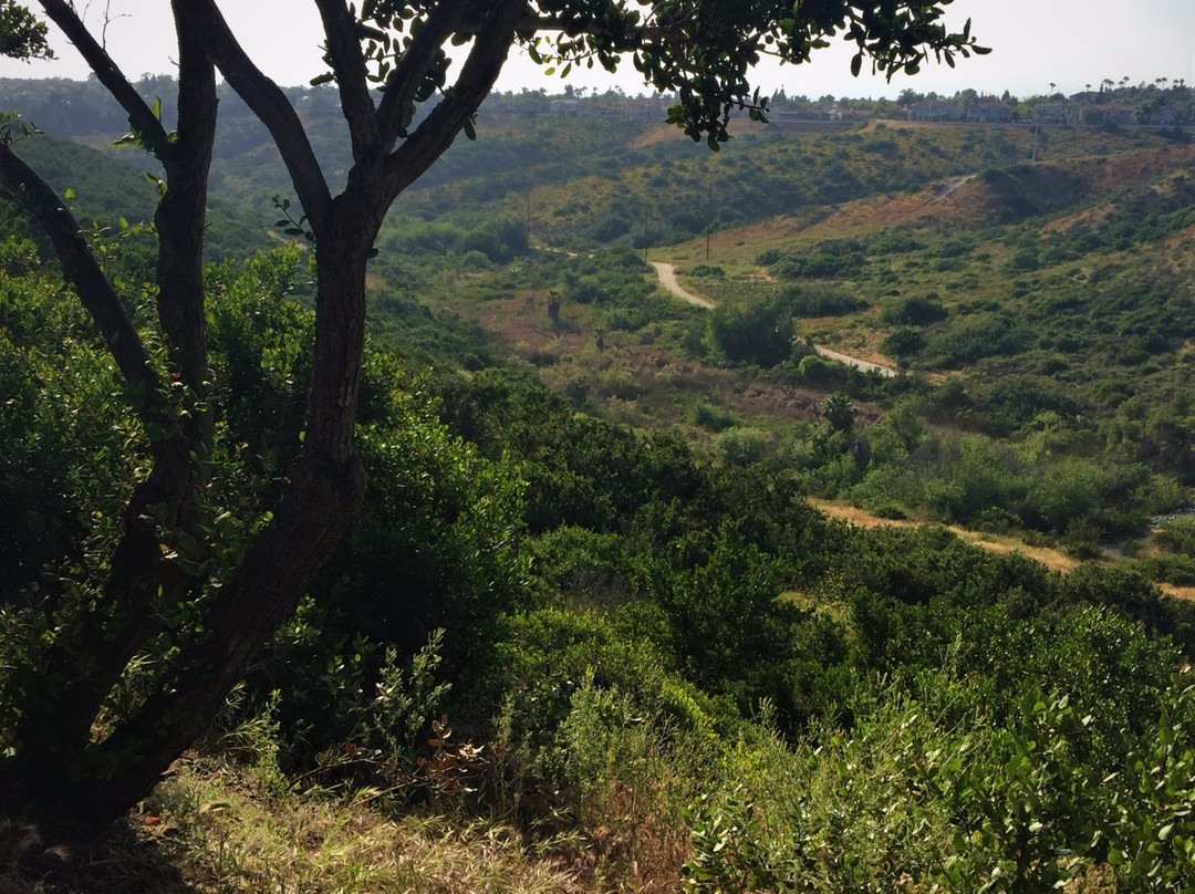 Rice Canyon Trail-丘拉维斯塔必去景点