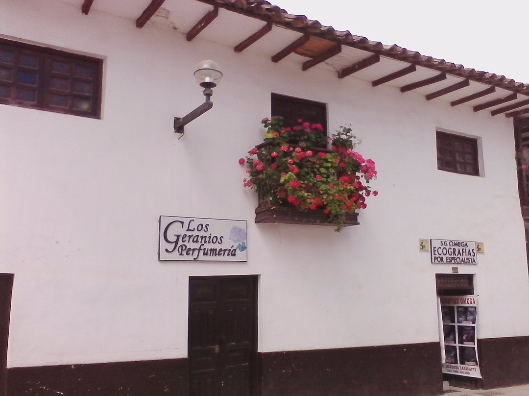 Casa Hospedaje Teresita
