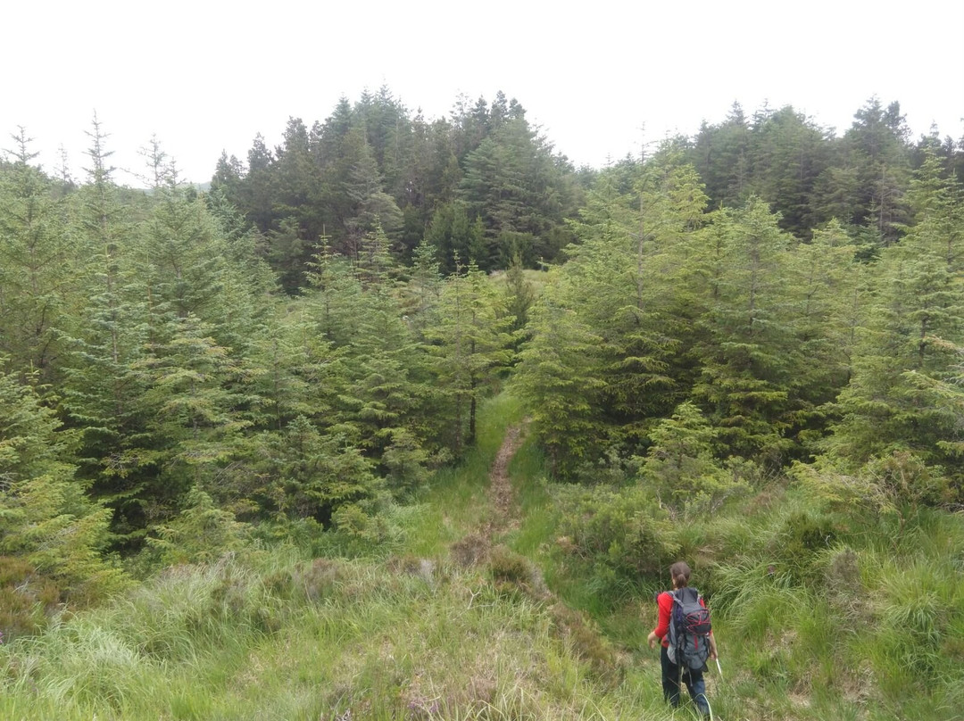 The Ireland Way Hiking Trail景点图片