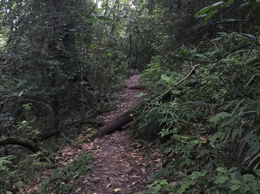 El Mirador-圣洛伦索必去景点