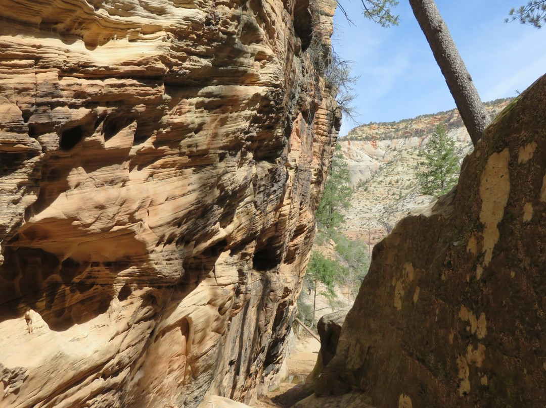 Hidden Canyon Trail-锡安国家公园必去景点