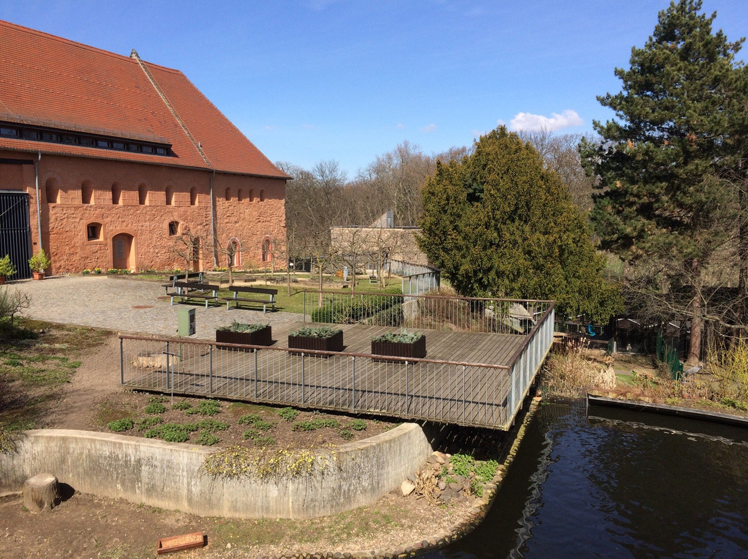 Tierpark & Kloster Riesa景点图片