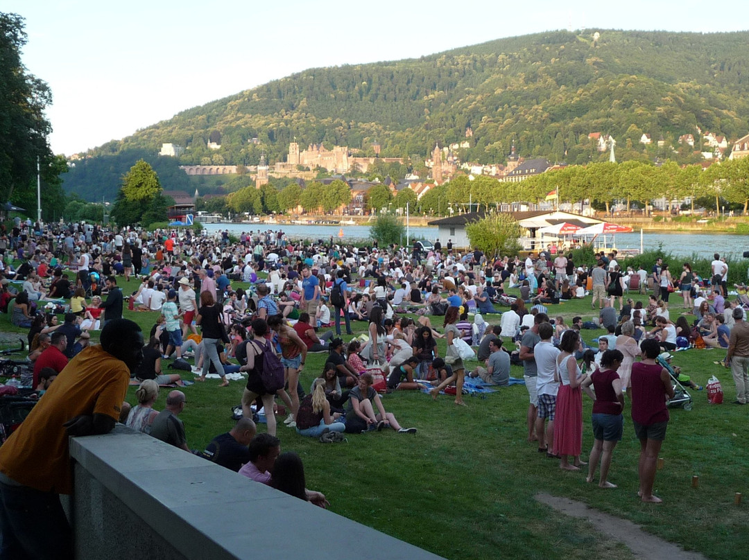 Neckarwiese Heidelberg-海德尔堡必去景点