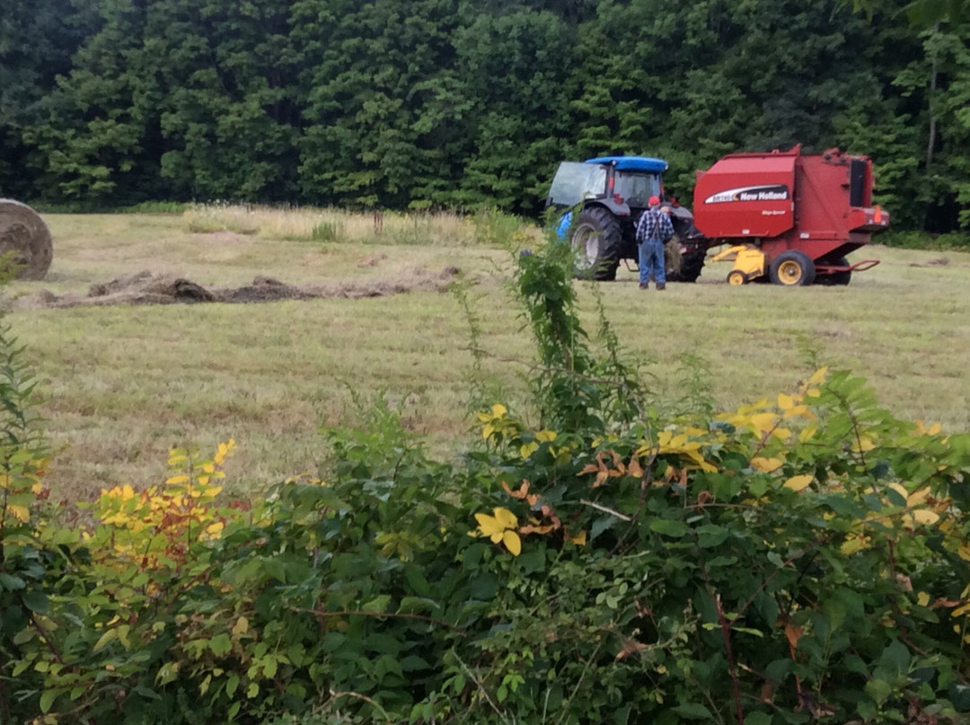 Snow Farm: The New England Craft Program景点图片