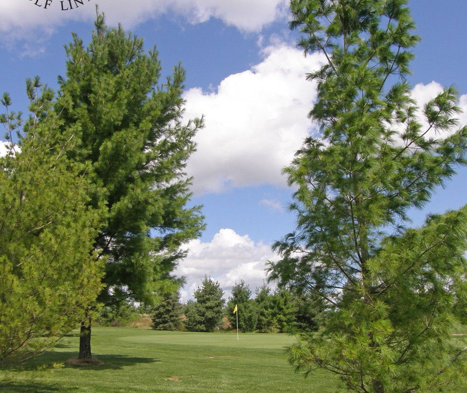 Saltcreek Golf Links景点图片