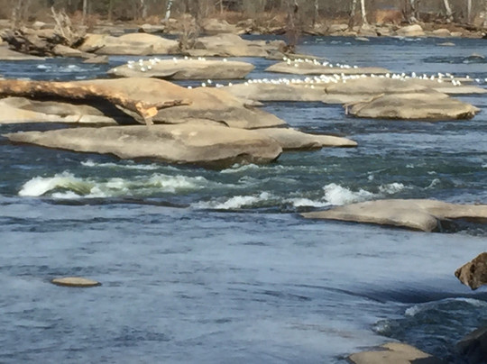 Huguenot Flatwater Park-里士满必去景点