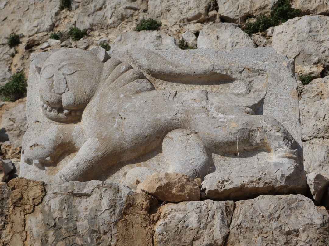 Galilee Private Tours-提比利亚必去景点