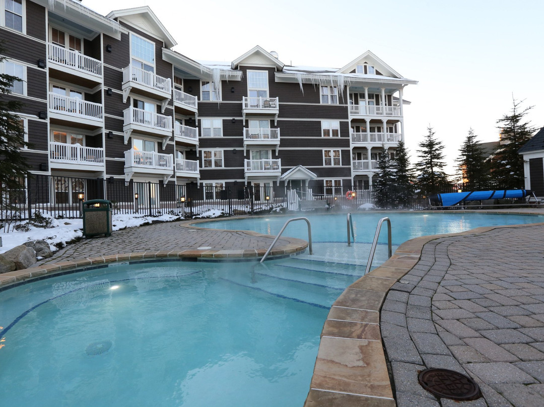 Allegheny Springs主图