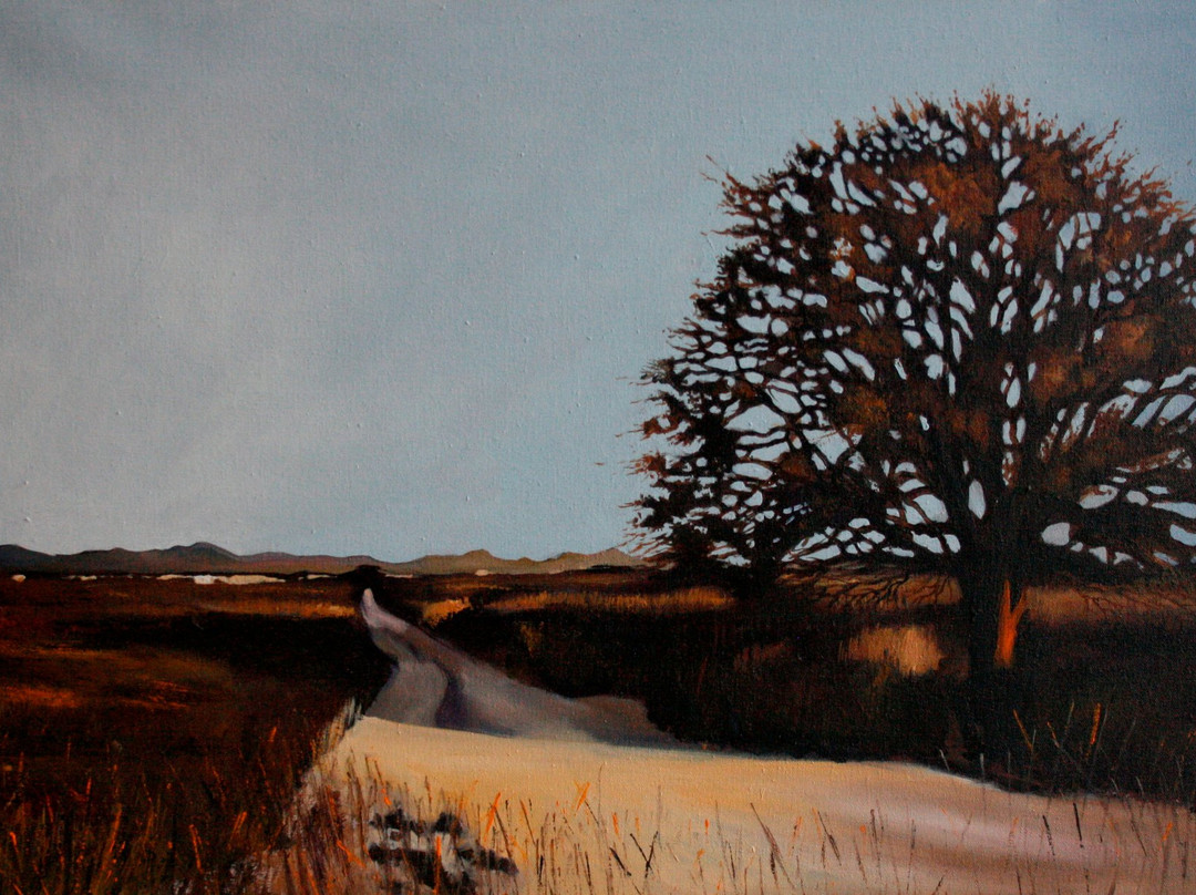 Juan Zaragoza Galeria-圣米格尔护城必去景点