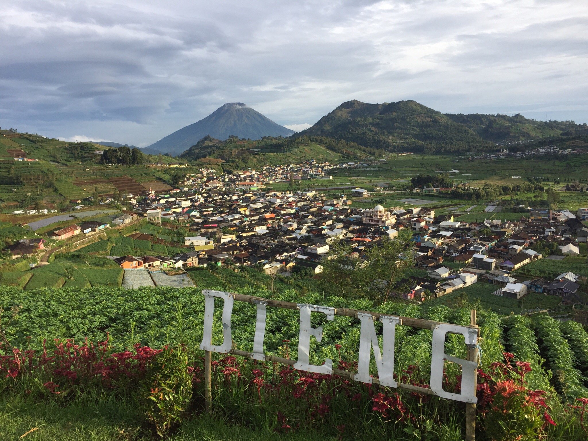 Dieng Plateau Homestay-官方