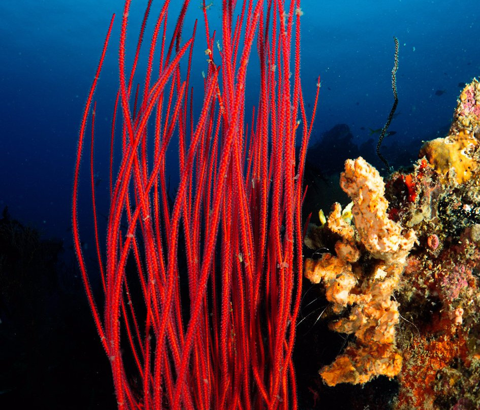 Livingseas Jakarta-雅加达必去景点