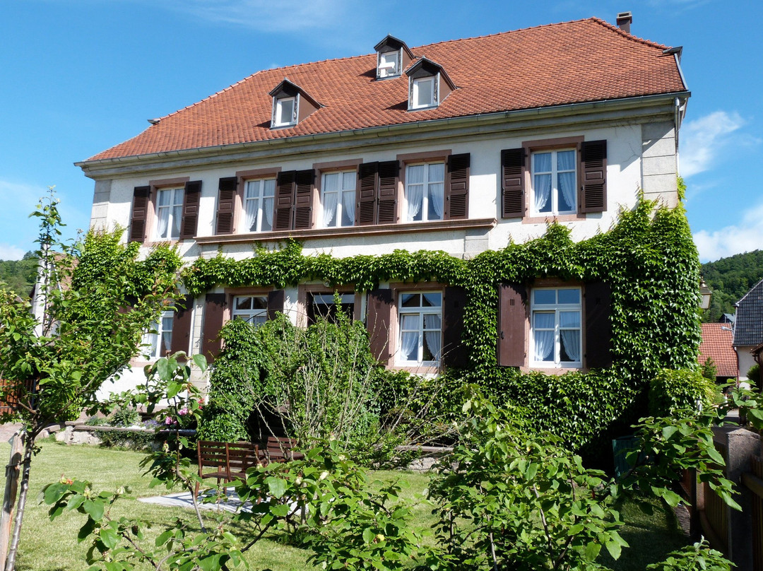 Soultzbach-les-Bains酒店住宿-Ancien Presbytère Schweitzer