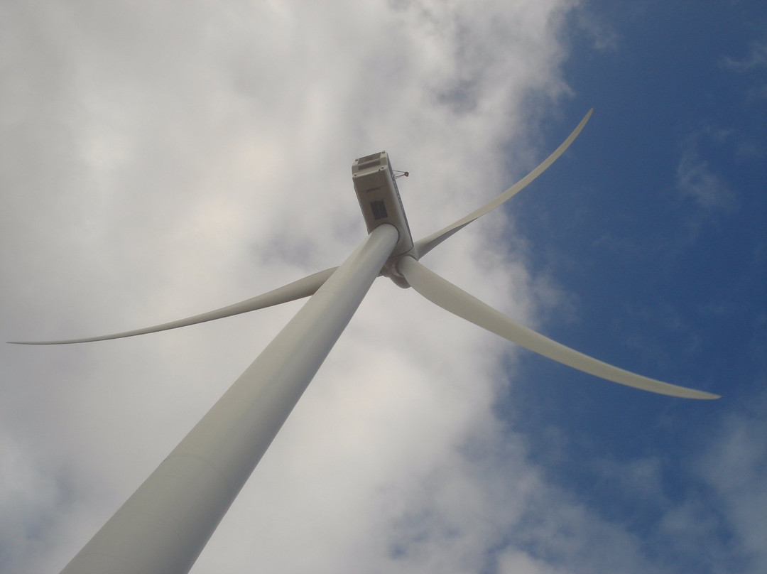 Vader Piet Wind Farm-Santa Cruz必去景点