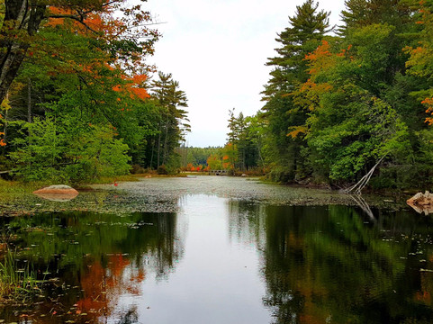 Nottingham旅游攻略图片