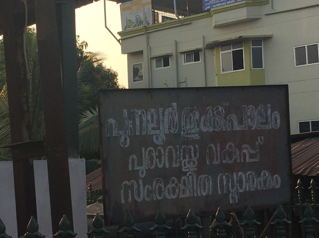 Suspension Bridge-Thenmala必去景点