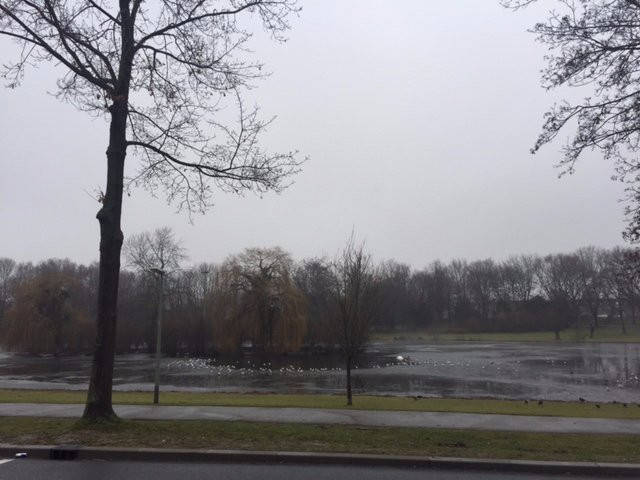 Asselt旅游景点-Maasnielderbeek