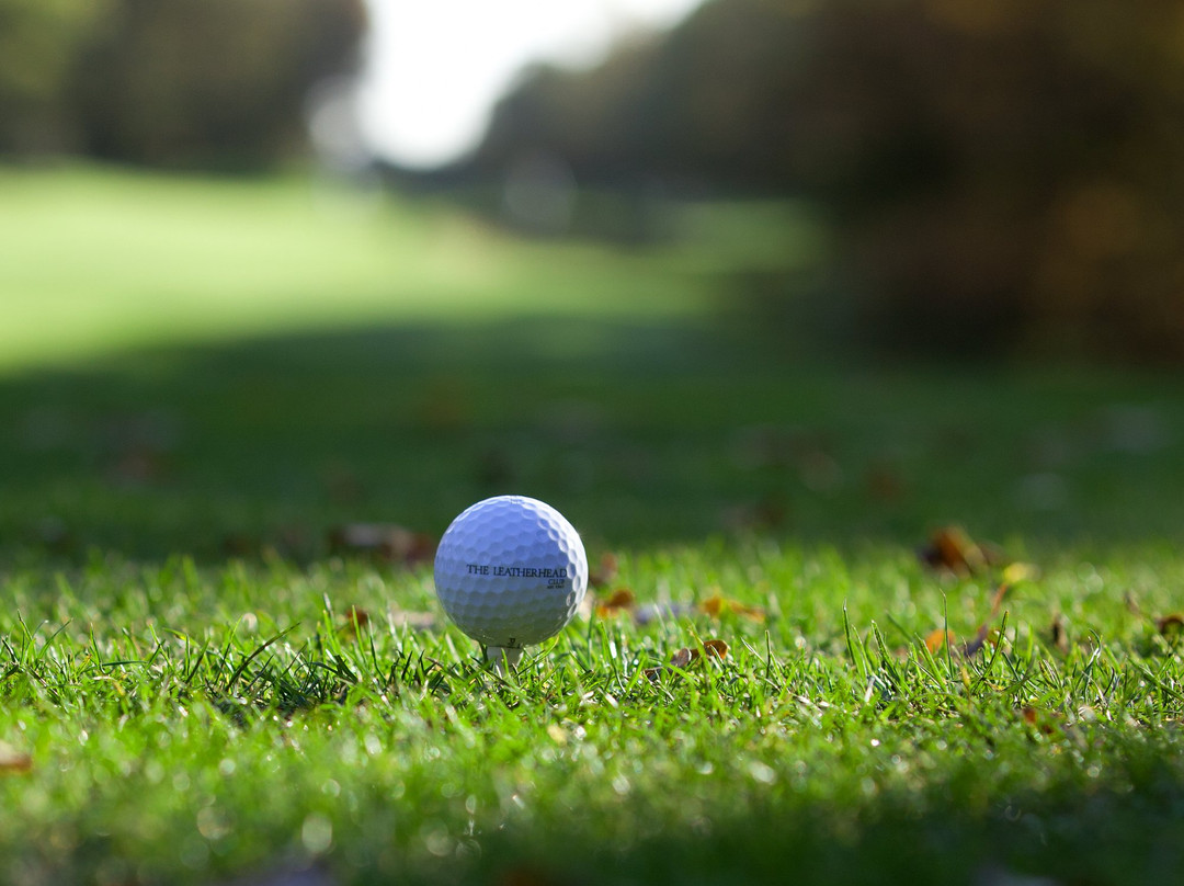 Leatherhead Golf Course景点图片