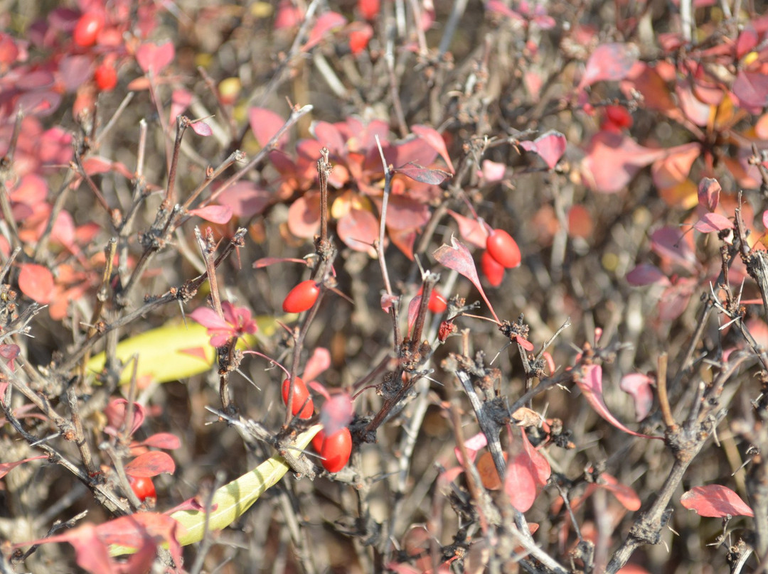 汾河二库-太原市必去景点