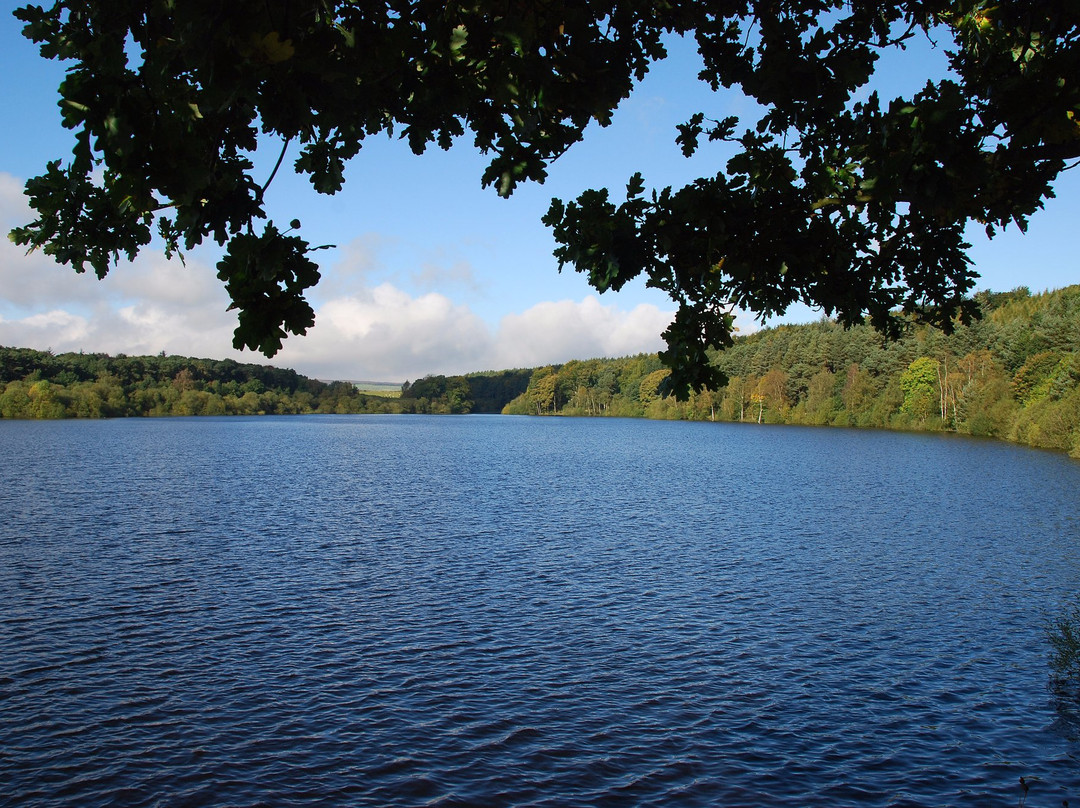 Swinsty Reservoir景点图片