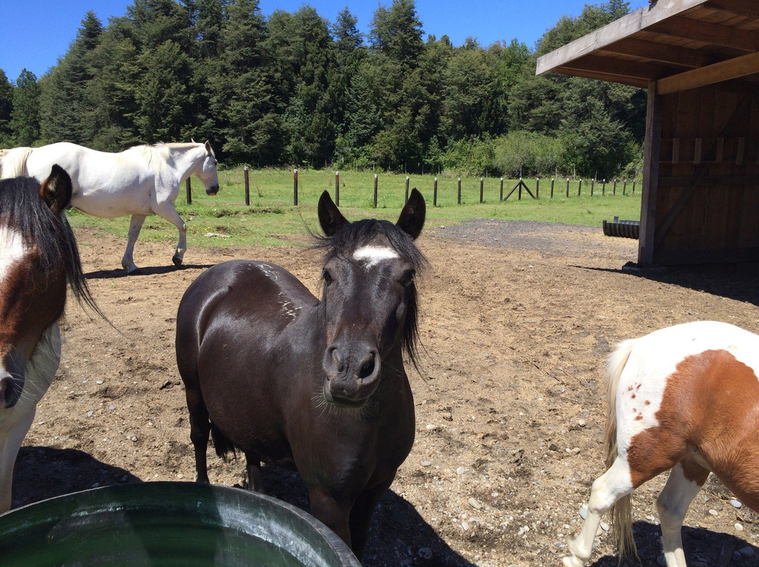 Cabalgatas-耐尔杜美必去景点