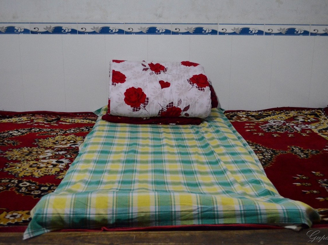 过春节家庭旅馆主图