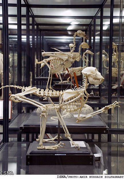 Natural History and Technology Museum of Shiraz-Shiraz必去景点