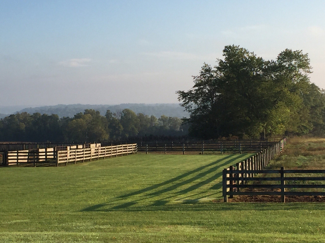 Sweetspire Ranch